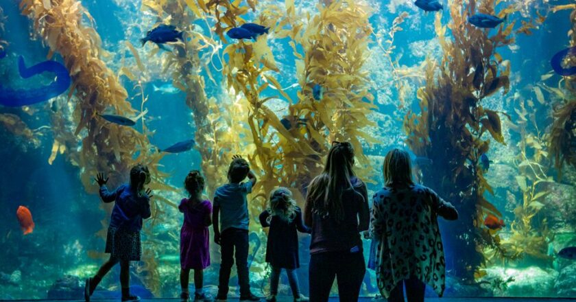 13 Top Aquariums in the U.S.