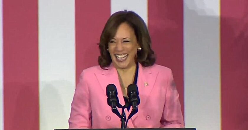 Kamala Harris Roasted for Misleading Statements About Constitution on Anniversary of Roe Reversal – RedState