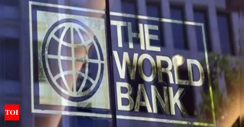 Debt: Africa hears pledges but little action at IMF-World Bank talks