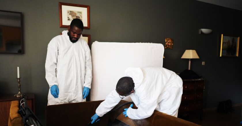 Inside the Race to Crush Paris’ Bedbug Crisis