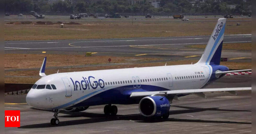 IndiGo: IndiGo logs profit for 4th quarter in row