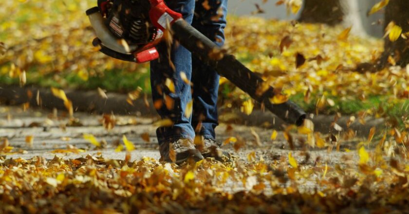 Leaf Blower Fight Roils Greenwich, Conn., Home to World’s Most Perfect Lawns