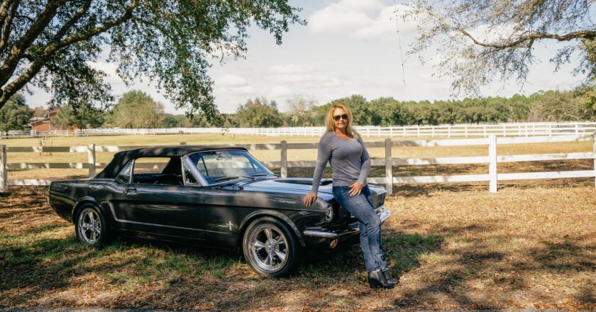 This Mustang Stands Out in Her Corral Full of Them