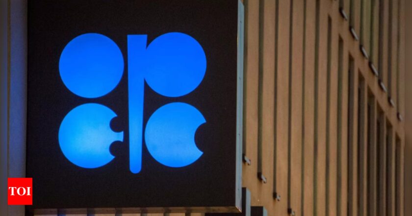 India wants OPEC to watch out for turbulence at Nov 30 meet