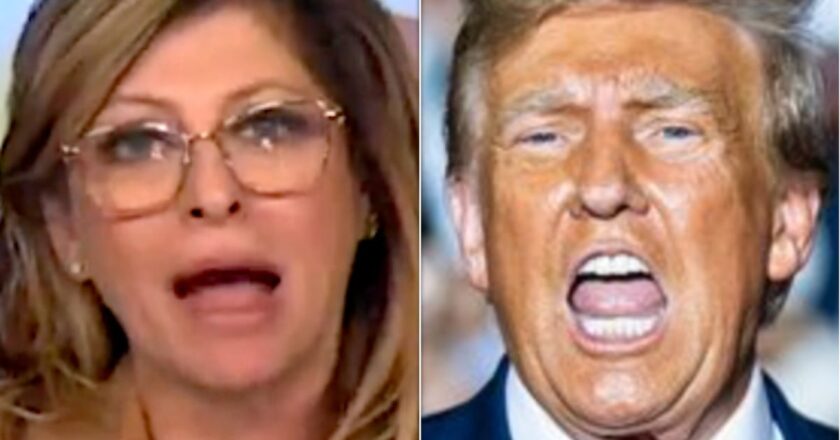 Maria Bartiromo Floats Wackadoodle COVID Theory That Has So Many Holes