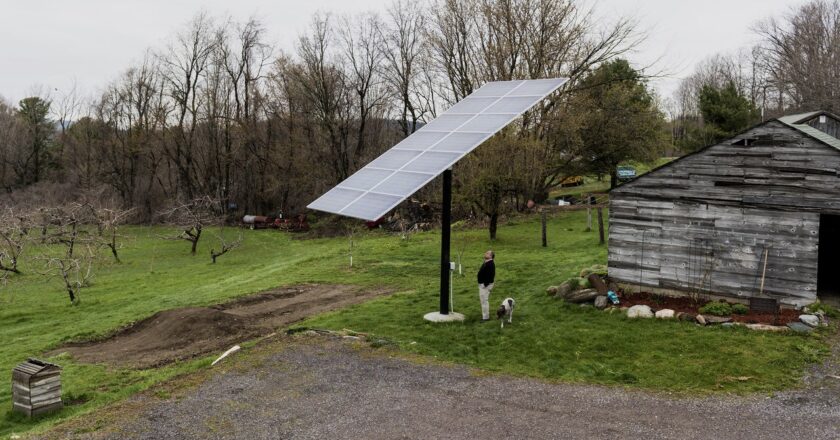 The Next Power Plant Is on the Roof and in the Basement