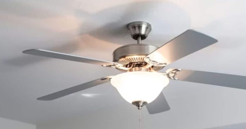 Union Minister Piyush Goyal Advises People To Be Cautious While Buying Ceiling Fans