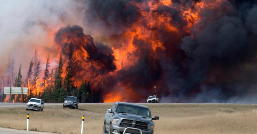 Story of a devastating wildfire that reads ‘like a thriller’ wins Baillie Gifford nonfiction prize