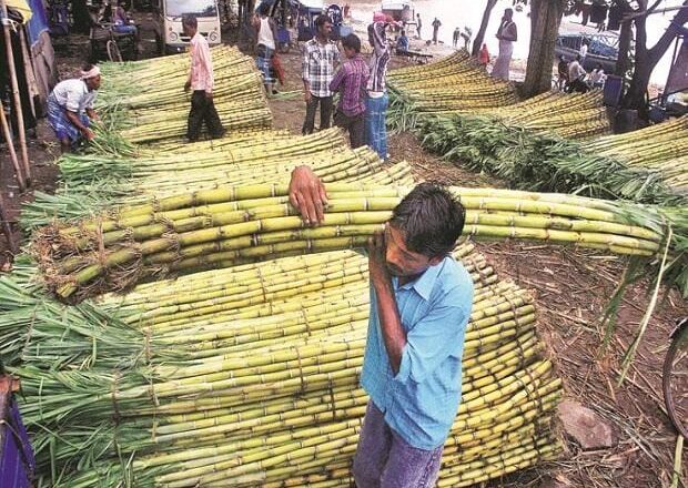 Govt issues revised order to allow use of sugarcane juice to make ethanol