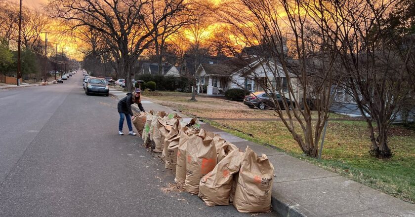 Meet the Neighbors Who Want Your Leaves:'I'm Stealing, but It's Good for the Earth'