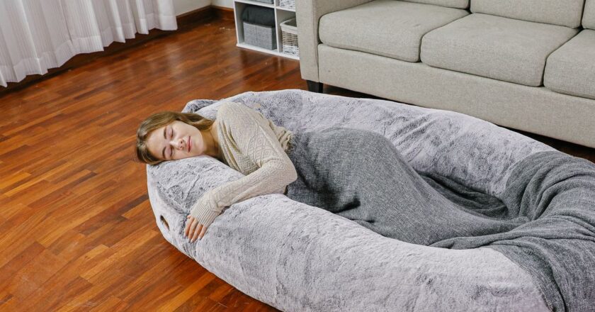 A $500 Dog Bed for Humans? Sounds About Right