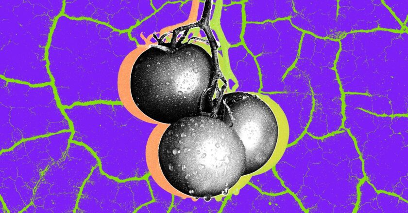 The Foods the World Will Lose to Climate Change