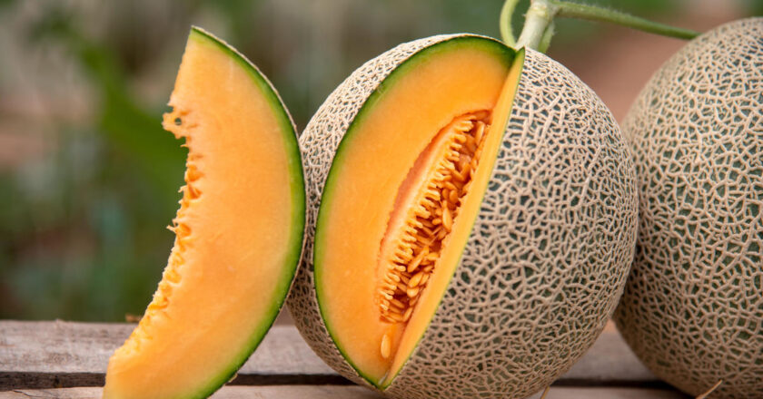 What to know about the widening cantaloupe recall over deadly salmonella risks