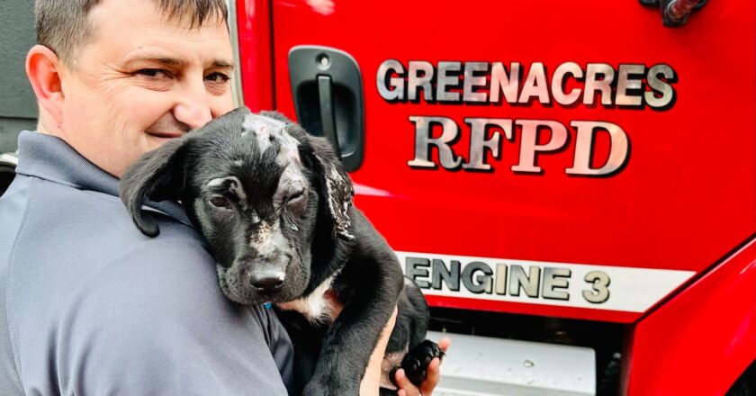 A puppy burned in an Oregon house fire was adopted by a fire chief