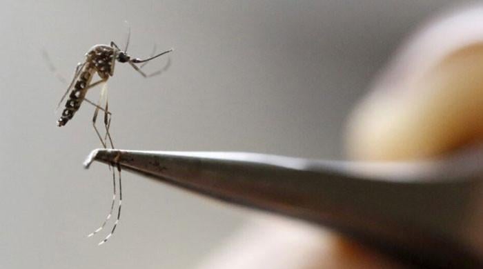 Zika virus presence confirmed in Pakistan